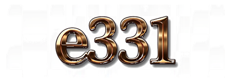 e331 logo
